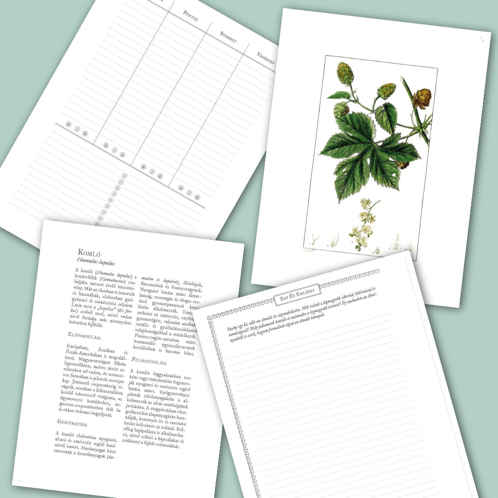 Greens of Daisy - Inspirációs Napló - LIMITÁLT