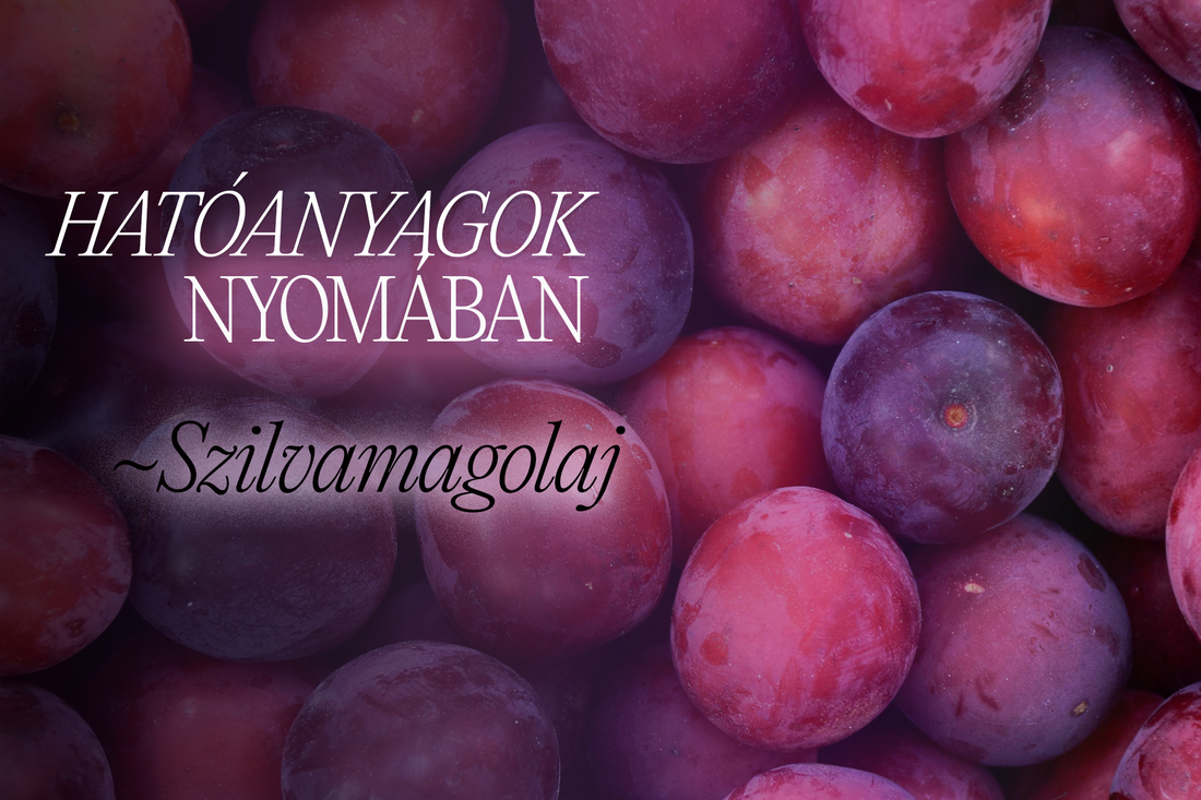Szilvamagolaj borítókép