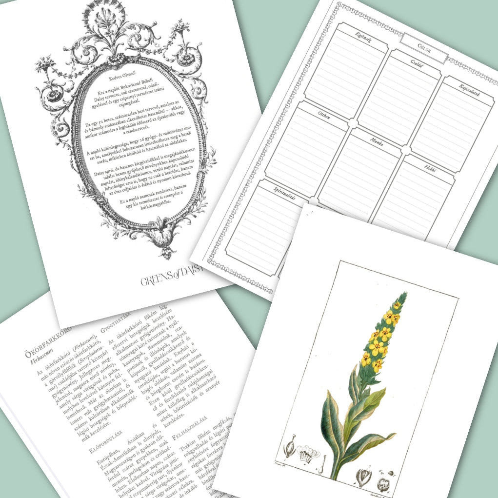 Greens of Daisy - Inspirációs Napló - LIMITÁLT