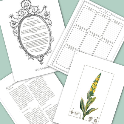 Greens of Daisy - Inspirációs Napló - LIMITÁLT